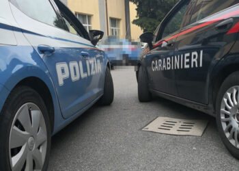 Rissa in un lido di Tropea: scattano i provvedimenti del Questore