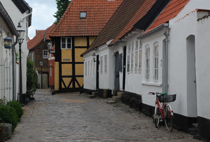 ribe 5