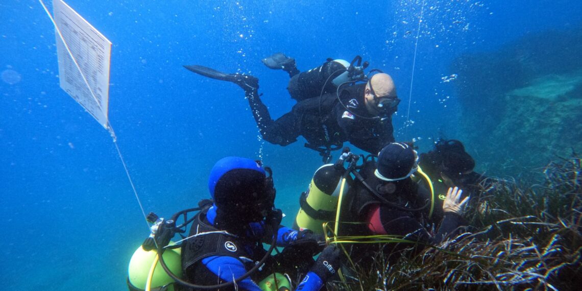 Tutela Posidonia, Greco (Epmr): Calabria in prima fila come laboratorio di sostenibilità per il Mediterraneo