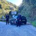 San Pietro di Caridà : scoperta una piantagione di marijuana in un’area impervia. Quattro arresti
