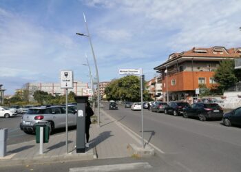 Vibo Valentia, piazza Spogliatore diventa piazza Michael Cuccione 4 Vibo Valentia, piazza Spogliatore diventa piazza Michael Cuccione