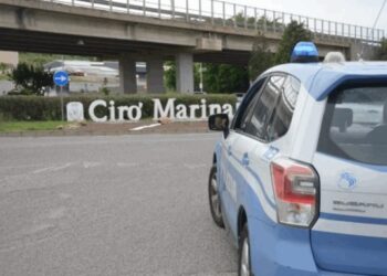 Cirò Marina, vasta attività di controllo del territorio predisposta dal Questore di Crotone 6 Cirò Marina, vasta attività di controllo del territorio predisposta dal Questore di Crotone