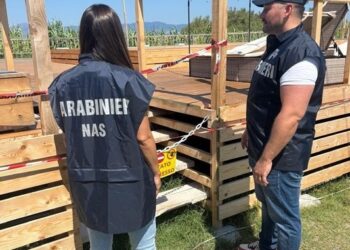 Bilancio della campagna “Estate Tranquilla 2025” nel reggino