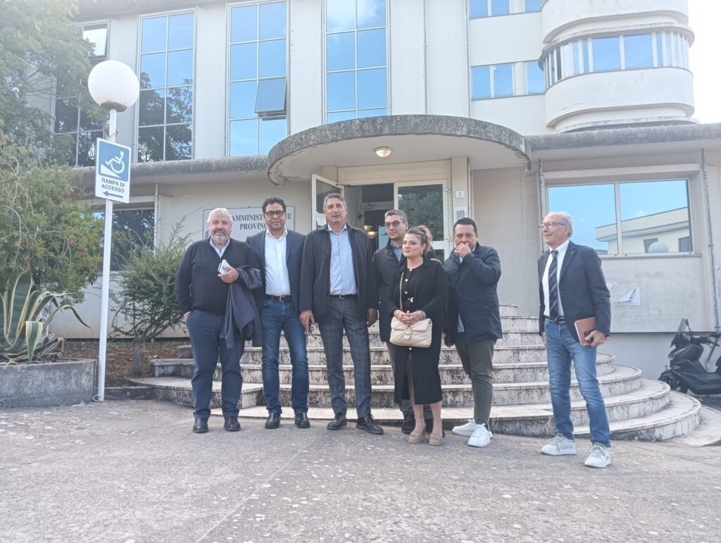La crisi della Provincia di Vibo Valentia con le dimissioni in massa: quando la politica implode su se stessa 2 Provincia Vibo dimissioni