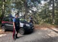 Controlli straordinari dei Carabinieri a Santo Stefano in Aspromonte