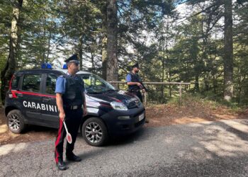Controlli straordinari dei Carabinieri a Santo Stefano in Aspromonte