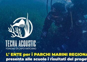 Al via una settimana di eventi per l’Ente per i Parchi Marini della Calabria