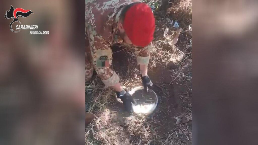 Arrestato dai Carabinieri un giovane di Gioiosa Ionica (VIDEO) 1 WhatsApp Image 2025 10 14 at 12.36.46