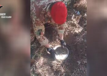 Arrestato dai Carabinieri un giovane di Gioiosa Ionica (VIDEO)