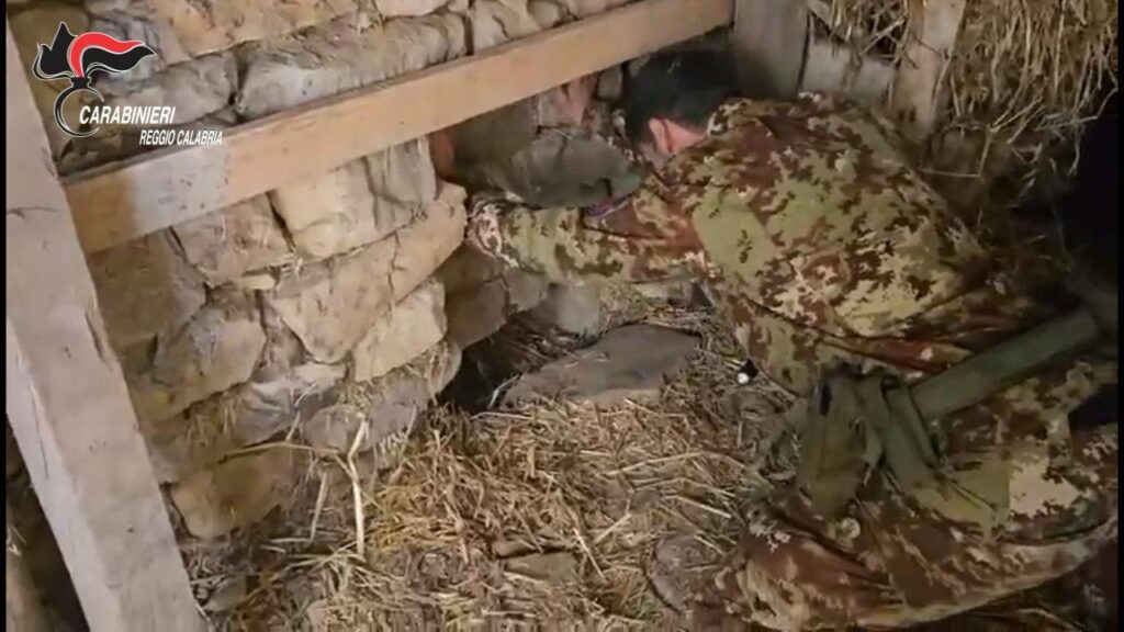 Scoperta piantagione “indoor” in un bunker sotterraneo a Platì (VIDEO) 1 WhatsApp Image 2025 10 15 at 07.07.51