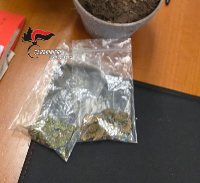 Armi, droga, ricettazione e lavoro nero: otto persone denunciate dai Carabinieri della Compagnia di Vibo Valentia 3 WhatsApp Image 2025 10 26 at 19.01.36