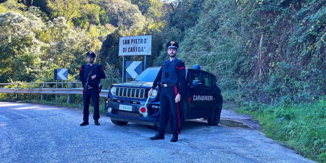 Scoperta a S. Pietro di Caridà una piantagione di marijuana in un’area impervia