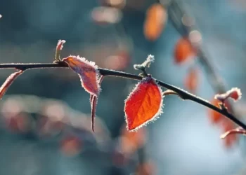 Aria gelida dalla Russia sulla Calabria, i termometri scendono anche sotto lo zero