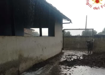 Imperversa il maltempo nella fascia Jonica della Calabria. Molti allagamenti 5 Imperversa il maltempo nella fascia Jonica della Calabria. Molti allagamenti