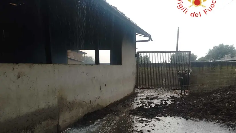 Imperversa il maltempo nella fascia Jonica della Calabria. Molti allagamenti 1 Imperversa il maltempo nella fascia Jonica della Calabria. Molti allagamenti