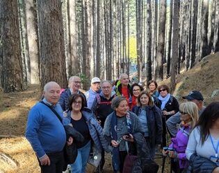 Megalithos, il Festival autunnale di Nardodipace 7 Megalithos, il Festival autunnale di Nardodipace