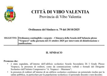 Topi alla Vespucci di Vibo Marina, ordinanza di chiusura della scuola per la derattizzazione 1 Topi alla Vespucci di Vibo Marina, ordinanza di chiusura della scuola per la derattizzazione
