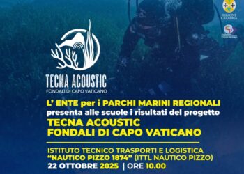 Gli studenti del Nautico di Pizzo aprono la settimana dei Parchi Marini della Calabria 7 Gli studenti del Nautico di Pizzo aprono la settimana dei Parchi Marini della Calabria