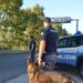 La Polizia effettua controlli ad Isola Capo Rizzuto e a Crotone 9 La Polizia  effettua controlli ad Isola Capo Rizzuto e a Crotone