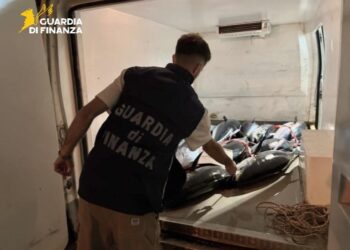 Sequestrati 270 kg di tonno rosso da parte della Sezione Operativa Navale Guardia di Finanza a Cirò Marina