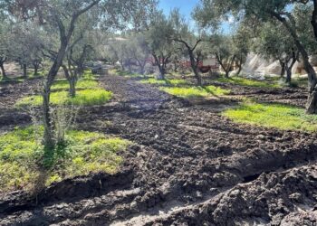 I Carabinieri denunciano tre imprenditori per reati ambientali