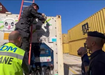 Sequestrati oltre 175 chilogrammi di cocaina al porto di Gioia Tauro (VIDEO)