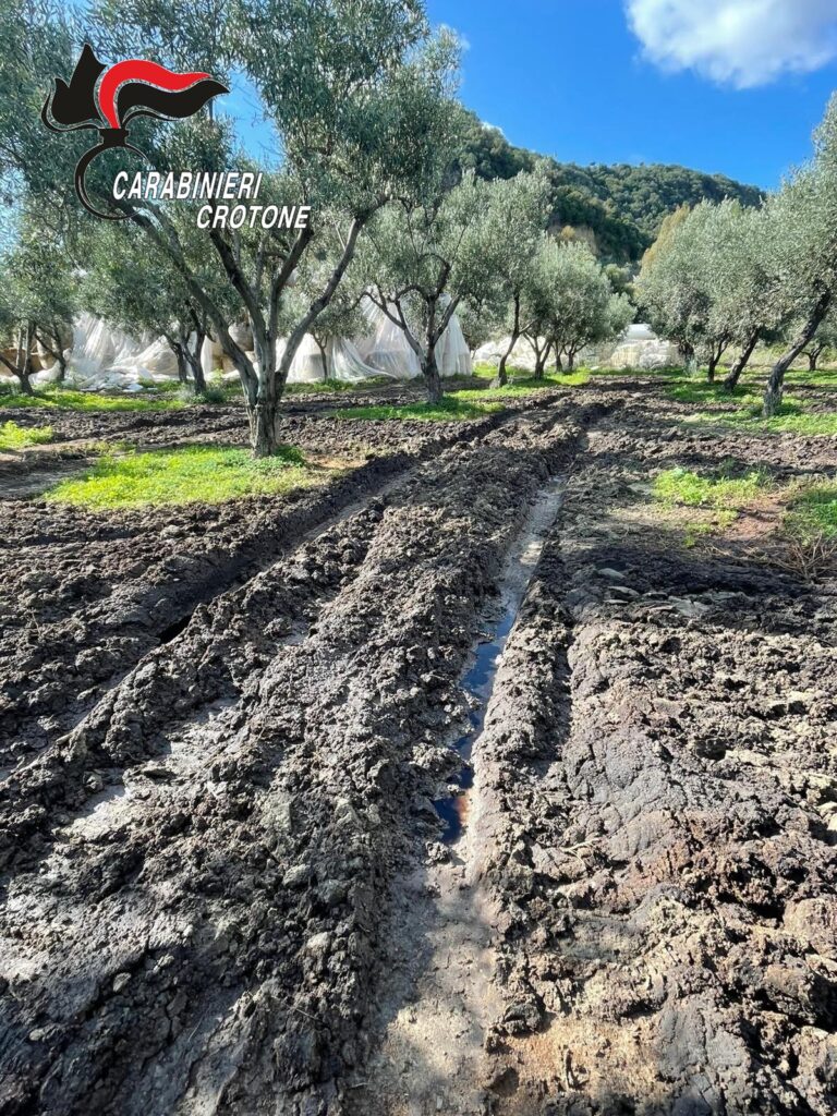 80d5a393 e70c 4c30 839b 1effc1c1d6dc