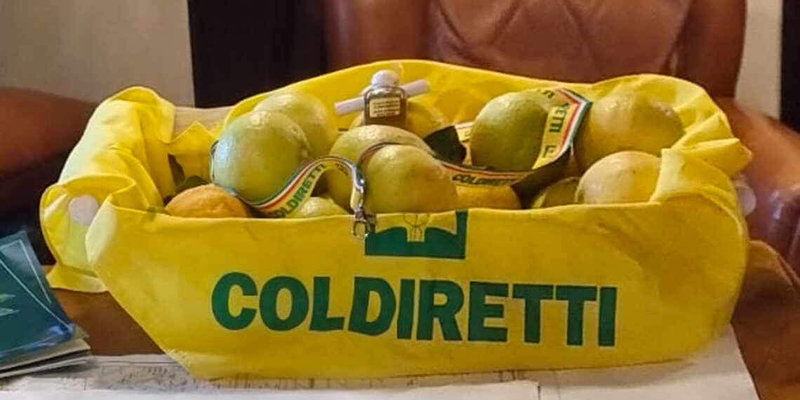 Campagna agrumicola in corso diverse storture di mercato. Sostenere le produzioni locali