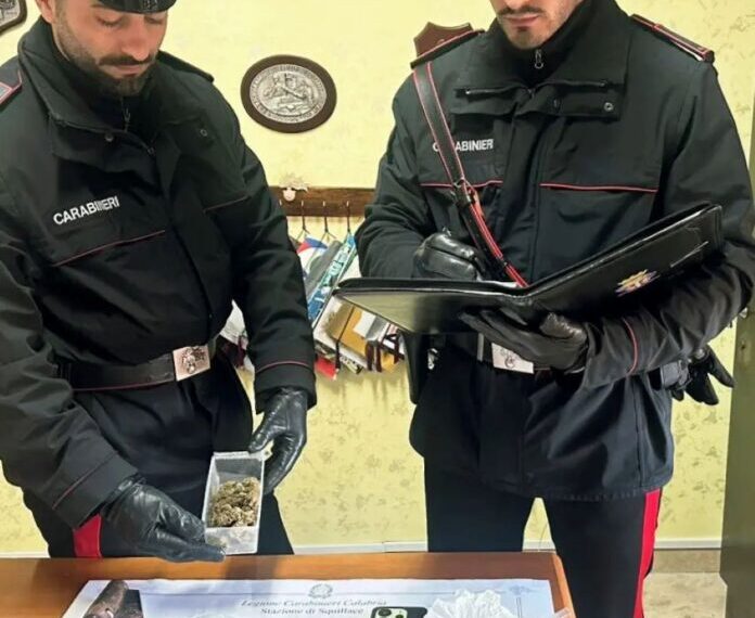 Arrestato a Palermiti un 34enne per detenzione ai fini di spaccio 1 Arrestato a Palermiti un 34enne per detenzione ai fini di spaccio
