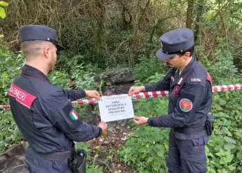 Controlli a tappeto dei Carabinieri nel catanzarese in materia di reati ambientali