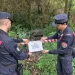 Controlli a tappeto dei Carabinieri nel catanzarese in materia di reati ambientali