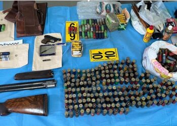 Serra San Bruno, un altro arresto della Polizia di Stato per armi e munizioni