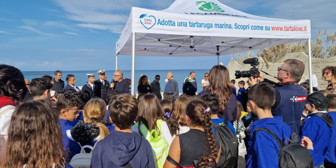 A Santa Domenica, nella splendida spiaggia di Formicoli, reintrodotte in natura due tartarughe (VIDEO)