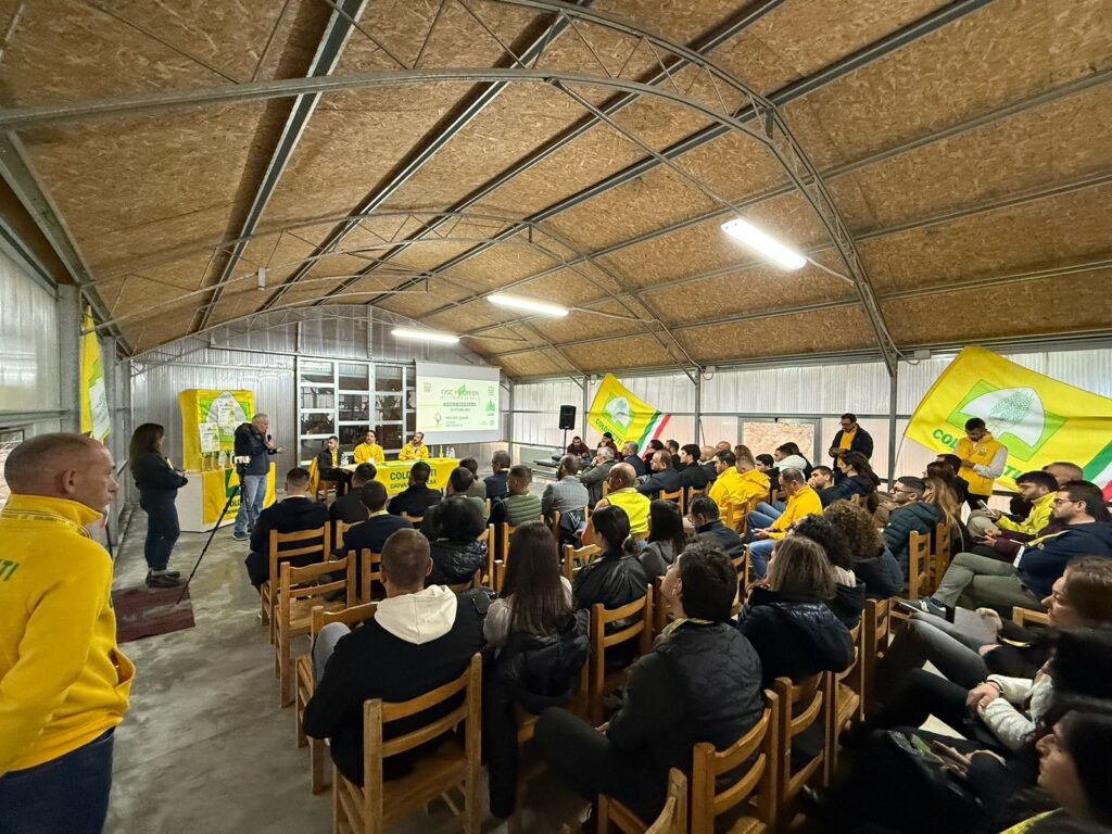 Coldiretti Oscar Green Calabria 2025: premiata la ”intelligenza naturale” dei giovani che fanno crescere l’agricoltura 2 La sala con i giovani imprenditori