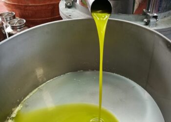 Sanzionati alcuni frantoi oleari del Crotonese