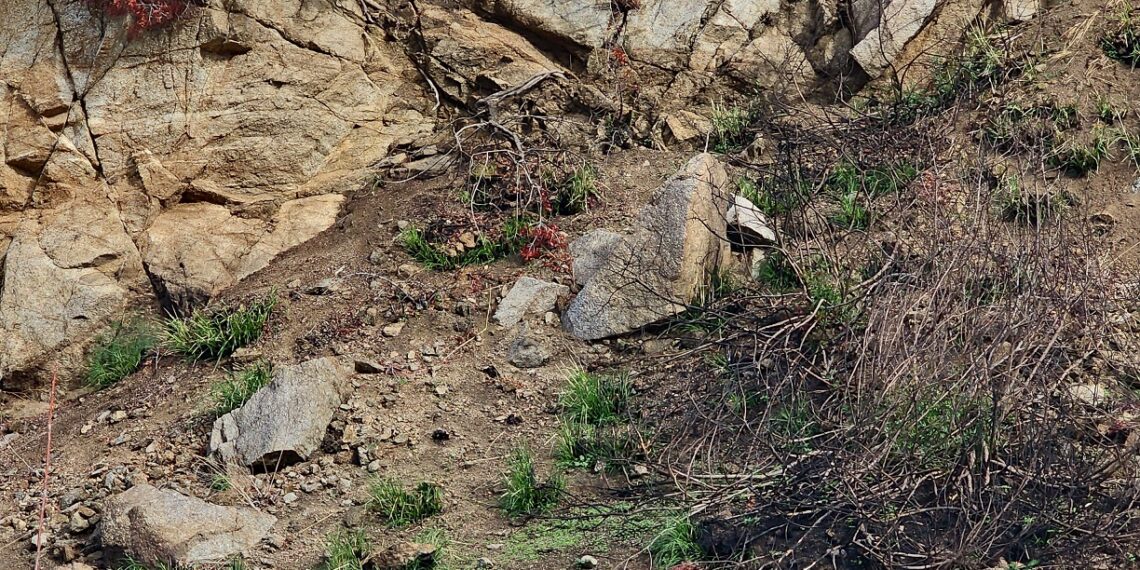 Sicurezza a rischio nei pressi del Belvedere di Zambrone