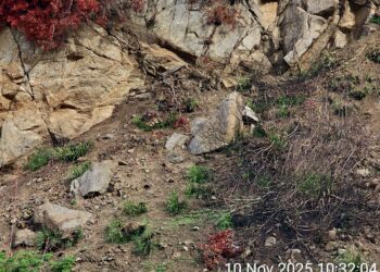 Sicurezza a rischio nei pressi del Belvedere di Zambrone