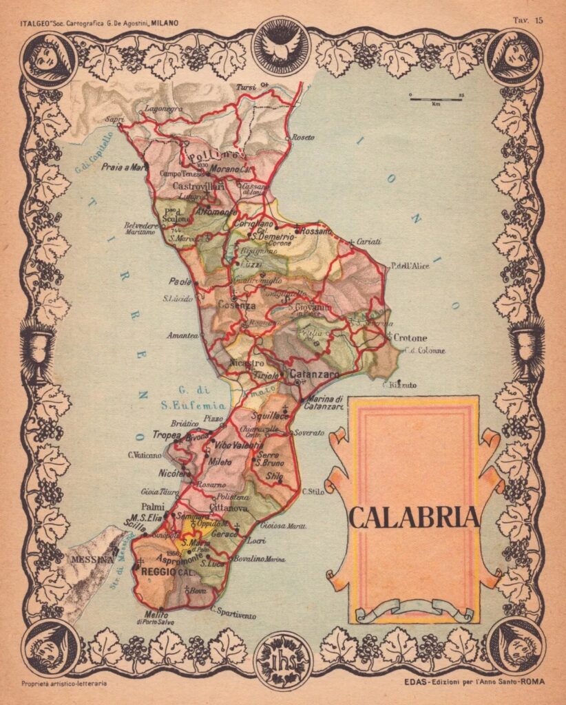 WhatsApp Image 2025 11 03 at 17.59.39 1