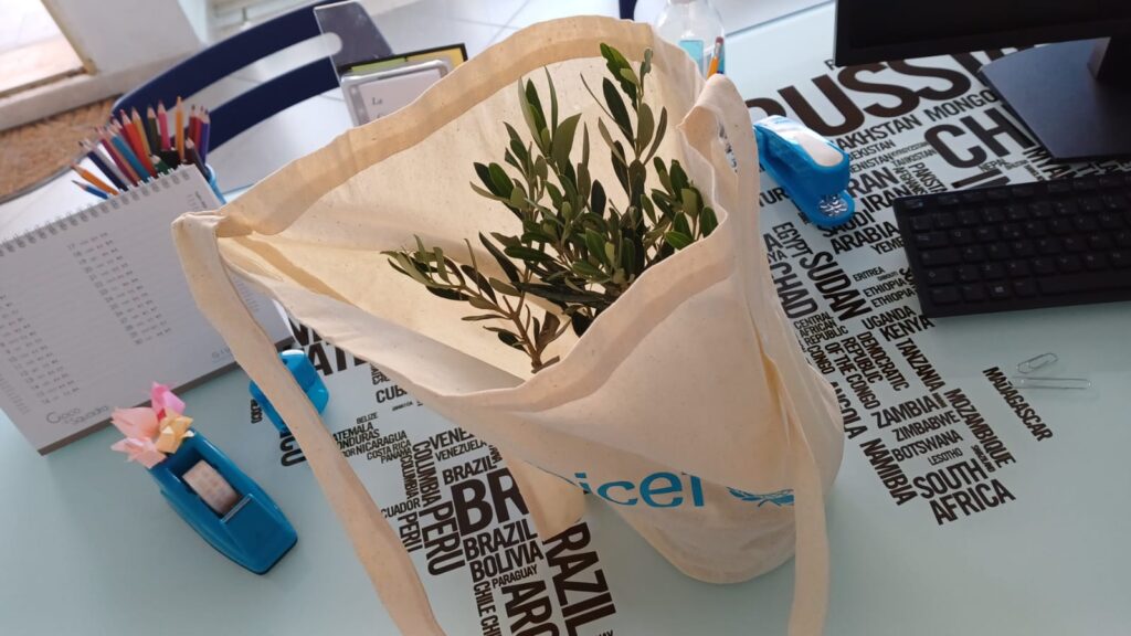 Le piantine per la speranza: le scuole del Vibonese sostengono l’Ulivo di UNICEF 4 WhatsApp Image 2025 11 05 at 18.11.24