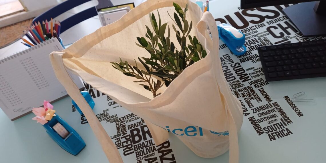 Le piantine per la speranza: le scuole del Vibonese sostengono l’Ulivo di UNICEF 1 Le piantine per la speranza: le scuole del Vibonese sostengono l’Ulivo di UNICEF