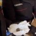I Carabinieri di Reggio Calabria arrestano un 54enne e sequestrano cocaina, marijuana e hashish (VIDEO)