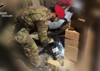 I Carabinieri scoprono della droga nascosta in un casolare abbandonato a Bianco (VIDEO)