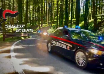 Controlli straordinari dei Carabinieri nelle Preserre Vibonesi