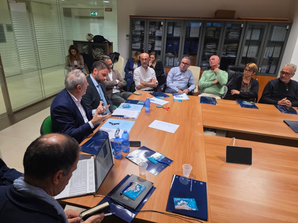 WhatsApp Image 2025 11 19 at 17.24.49