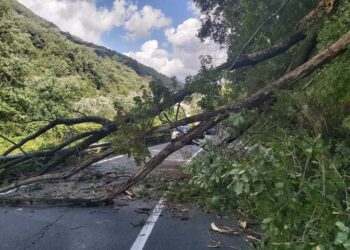 Temporaneamente chiusa la NSA 571 “D’Aspromonte” all’altezza di Bagnara Calabra