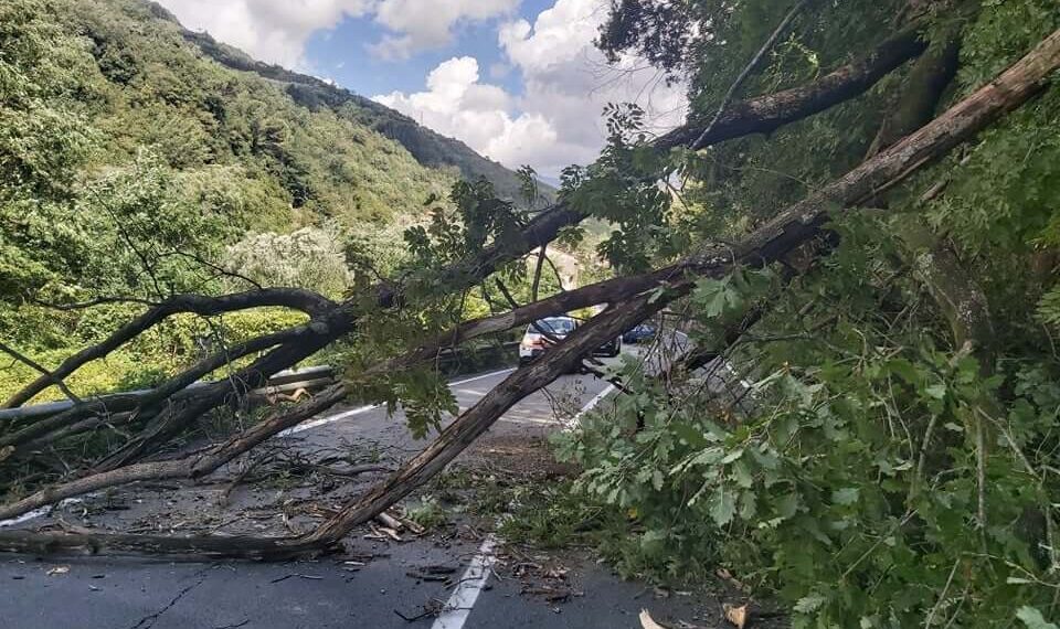 Temporaneamente chiusa la NSA 571 “D’Aspromonte” all’altezza di Bagnara Calabra