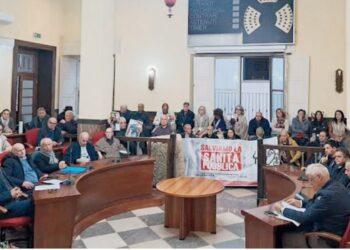 Sanità, la rivolta del Vibonese: sindaci uniti contro il crollo della sanità provinciale. Esplode l’emergenza 7 Sanità, la rivolta del Vibonese: sindaci uniti contro il crollo della sanità provinciale. Esplode l’emergenza