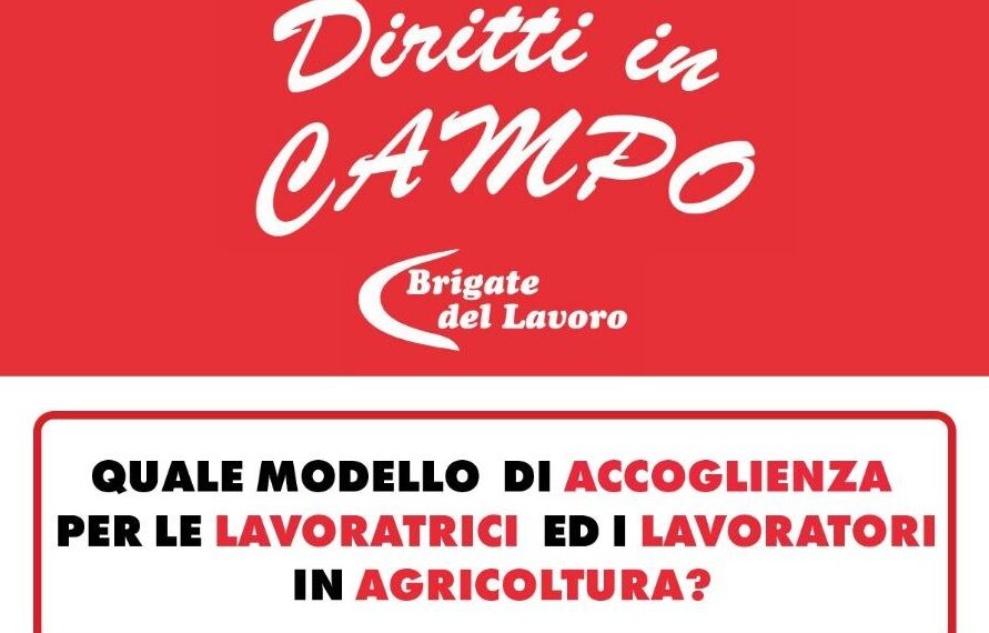 Ghetti, tendopoli, fondi Pnrr. Il 28 novembre l’evento della Flai a San Ferdinando 1 Ghetti, tendopoli, fondi Pnrr. Il 28 novembre l’evento della Flai a San Ferdinando