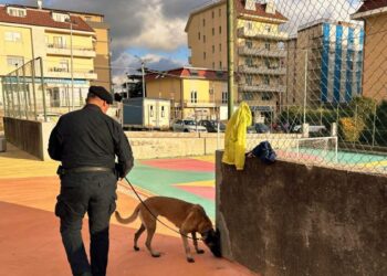 Un cane antidroga scova circa 30 grammi di hashish nascosti nel parco di Mater Domini
