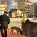 Un cane antidroga scova circa 30 grammi di hashish nascosti nel parco di Mater Domini